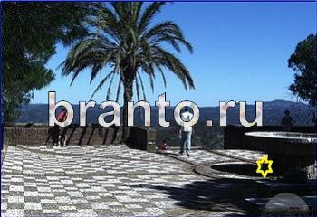 Найди кота прохождение Уровень 2003