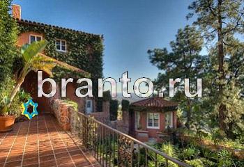 Найди кота в одноклассниках все ответы Уровень 2005