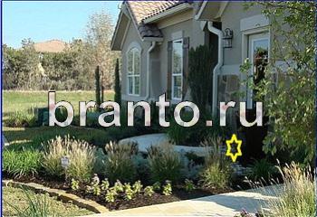 Игра Найди кота подсказки Уровень 2007