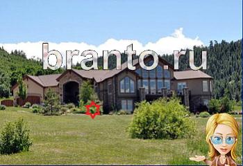 ответы на игру Найди кота Уровень 2015