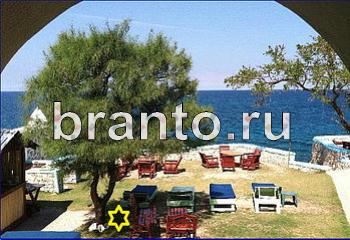 Найди кота одноклассники ответы Уровень 2020