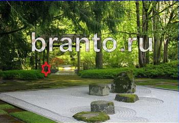 ответы на игру Найди кота Уровень 2021