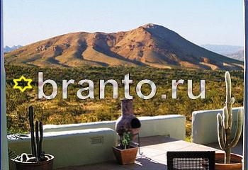 ответы на игру Найди кота Уровень 2038