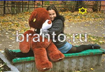 Найди кота игра ответы Уровень 2081