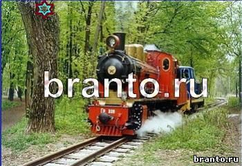 Игра Найди кота подсказки Уровень 2087