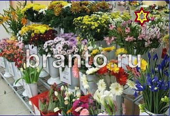 ответы на игру Найди кота Уровень 2089