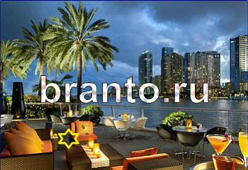 помощь на игру Найди кота Уровень 2103