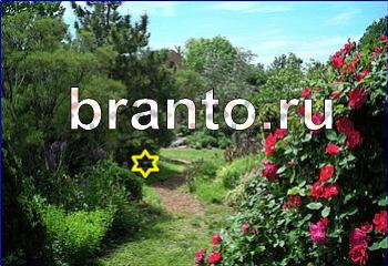 ответы на игру Найди кота Уровень 2104