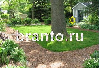 ответы на игру Найди кота Уровень 2108