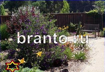 ответы на игру Найди кота Уровень 2109