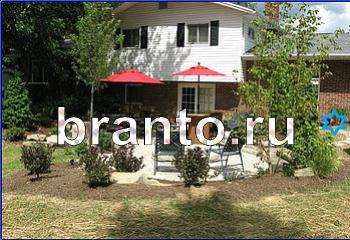 ответы на игру Найди кота Уровень 2112