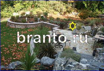 ответы на игру Найди кота Уровень 2118