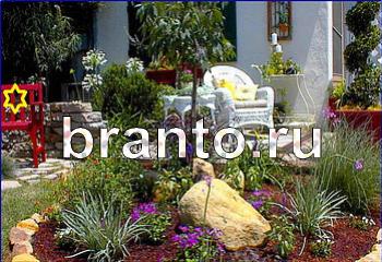 ответы к игре Найди кота Уровень 2120