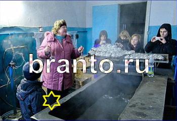 ответы на игру Найди кота Уровень 2162