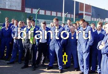 подсказки к игре Найди кота Уровень 2227