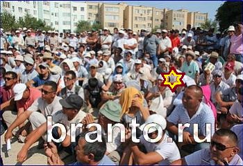 Найди кота новые уровни ответы Уровень 2230