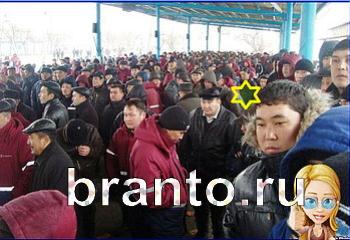 ответы на игру Найди кота Уровень 2236