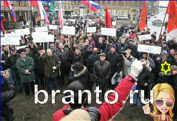 Игра Найди кота одноклассники ответы Уровень 2237