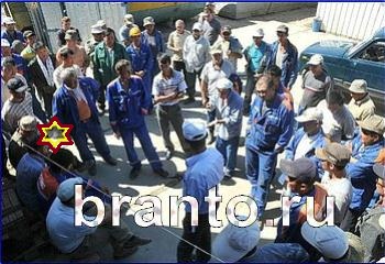 ответы на игру Найди кота Уровень 2238