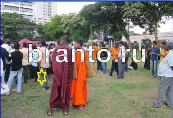 Найди кота игра ответы Уровень 2241