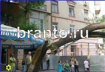 ответы на игру Найди кота Уровень 2259