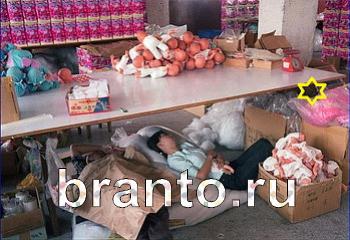 помощь на игру Найди кота Уровень 2263