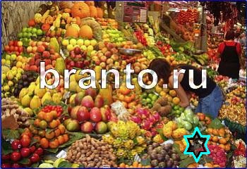 Найди кота в одноклассниках все ответы Уровень 2365