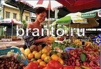 ответы на игру Найди кота Уровень 2366