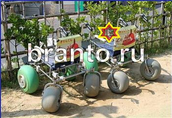 Игра найди кота подсказки одноклассники Уровень 2372