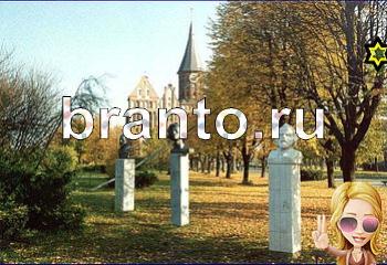 решебник на игру Найди кота Уровень 2376