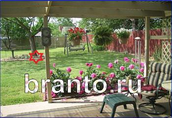 ответы на игру Найди кота Уровень 2381