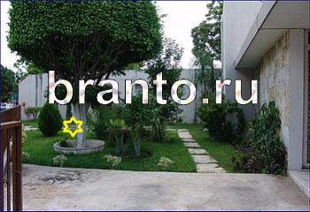 ответы на игру Найди кота Уровень 2384