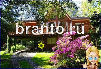 ответы на игру Найди кота Уровень 2385