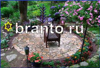 Найди кота подсказки ко всем уровням одноклассники Уровень 2386