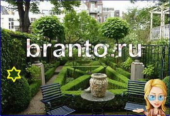 Найди кота новые уровни ответы Уровень 2390