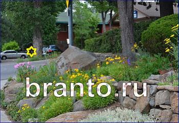 ответы на игру Найди кота Уровень 2392