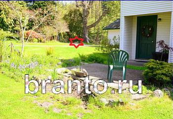 подсказки Найди кота Уровень 2394