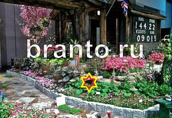 ответы на игру Найди кота Уровень 2395