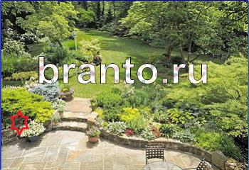 ответы на игру Найди кота Уровень 2396