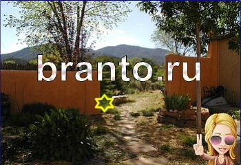 Найди кота игра ответы Уровень 2399