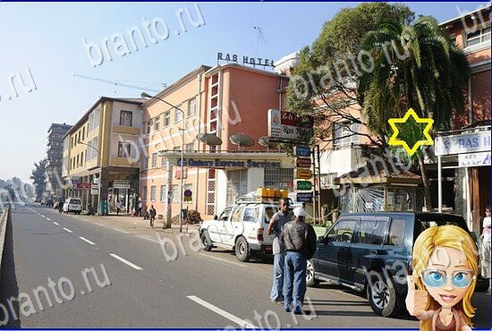 решения на игру Найди кота Уровень 2403