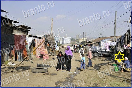 прохождение игры Найди кота Уровень 2405