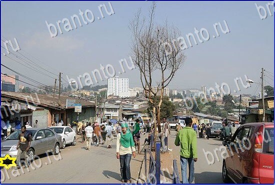 відповіді до гри Найди кота Уровень 2406