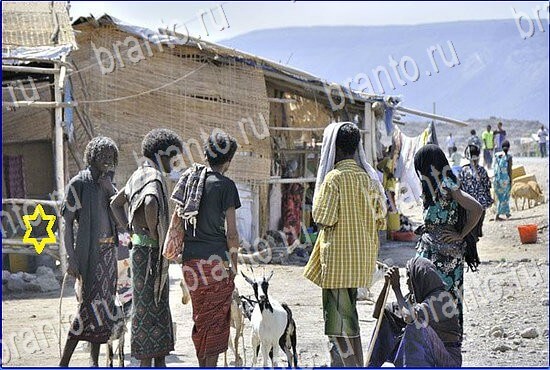 ключи на игру Найди кота Уровень 2407