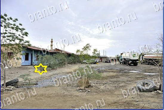 сборник ответов на игру Найди кота Уровень 2408