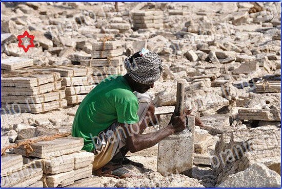 решебник на игру Найди кота Уровень 2409