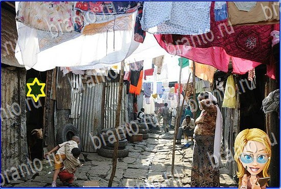 Найди кота игра ответы Уровень 2410