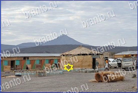 Найди кота игра в Одноклассниках ответы Уровень 2411