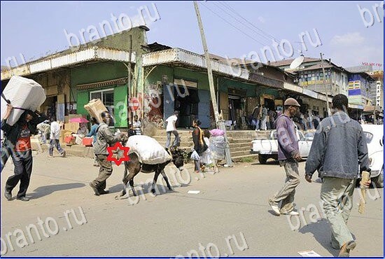 ответы на игру Найди кота Уровень 2412