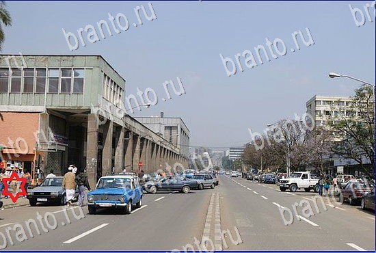 ответы на игру Найди кота Уровень 2414